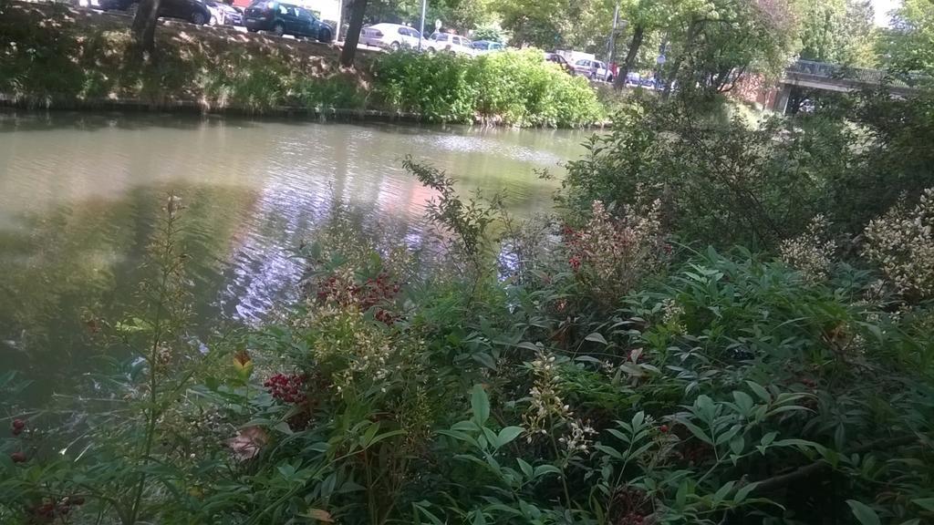 Appartement Matabiau Toulouse Szoba fotó